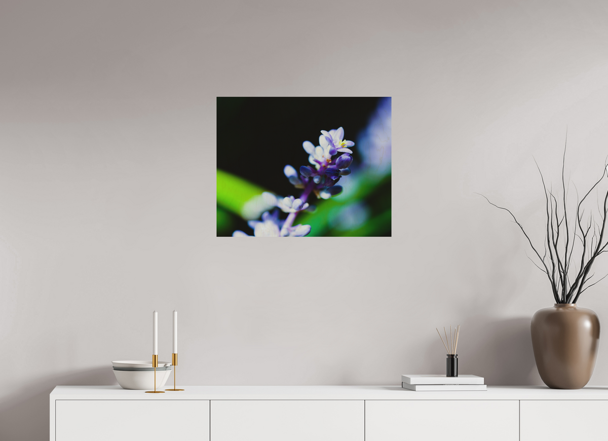 25 x 20″, Wood Prints The Midnight Lilyturf