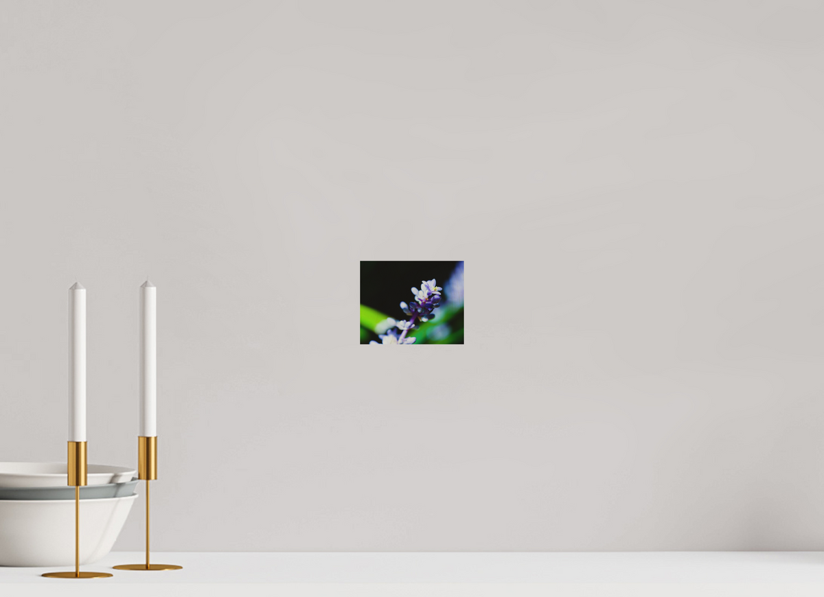 5 x 4″, Wood Prints The Midnight Lilyturf