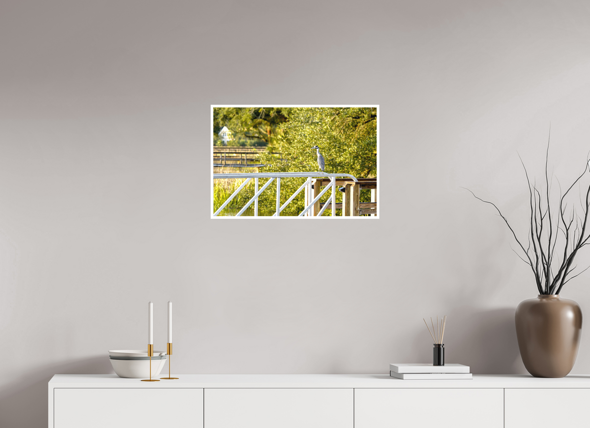 24 x 16″, Aluminum Border Prints The Sunlit Surveyor