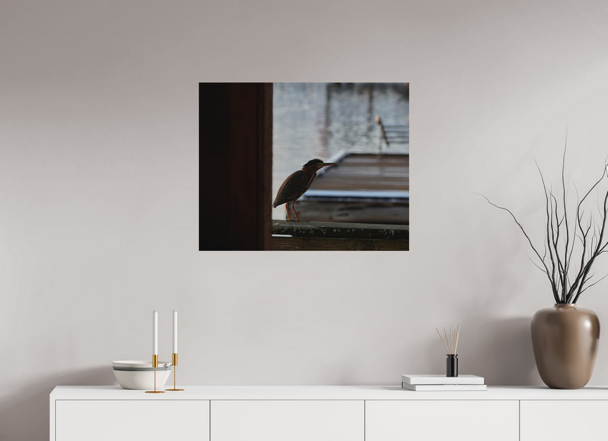 30 x 24″, Aluminum Prints The Dockside Heron