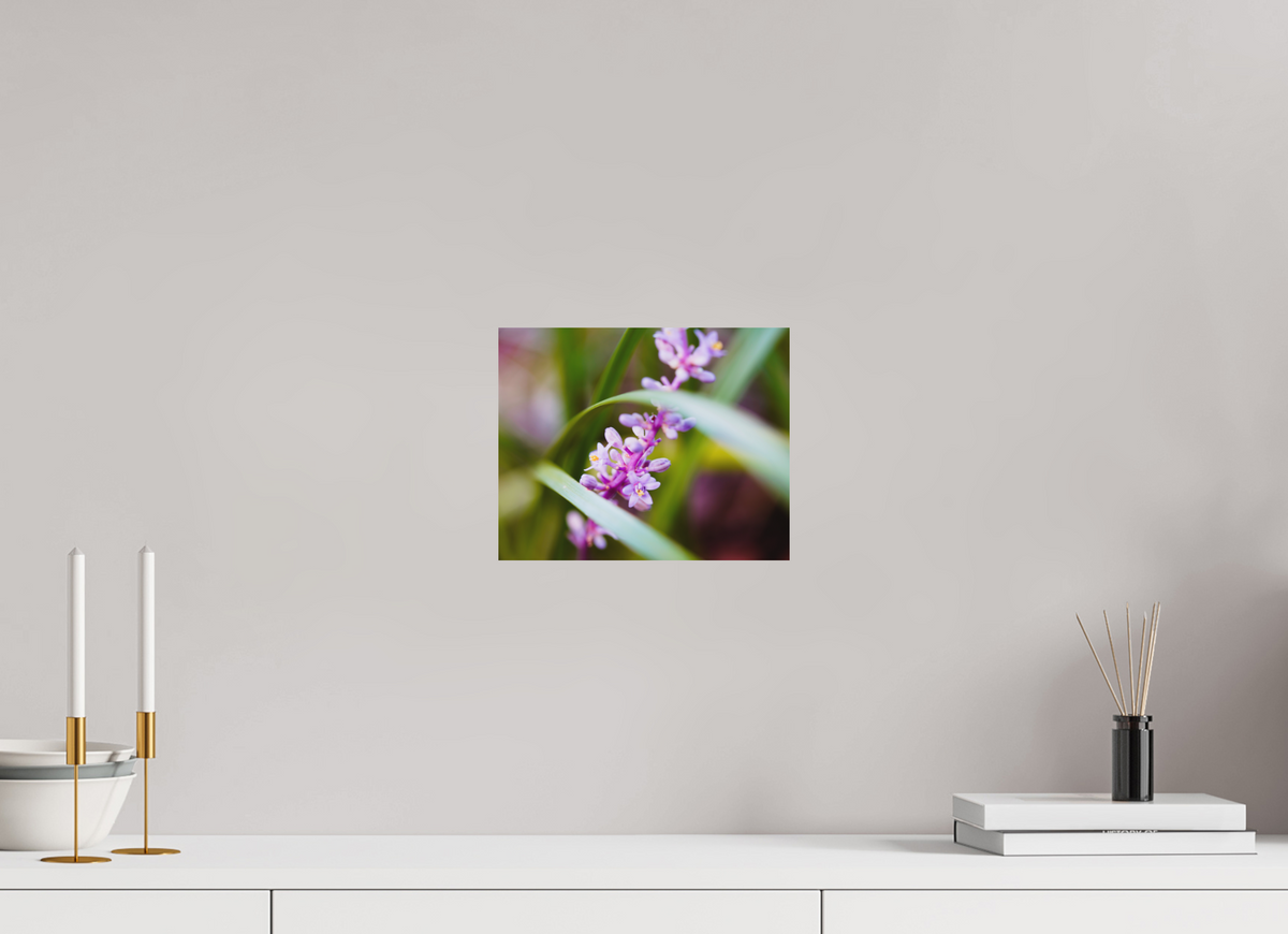 10 x 8″, Forex Prints The Lilyturf Spire