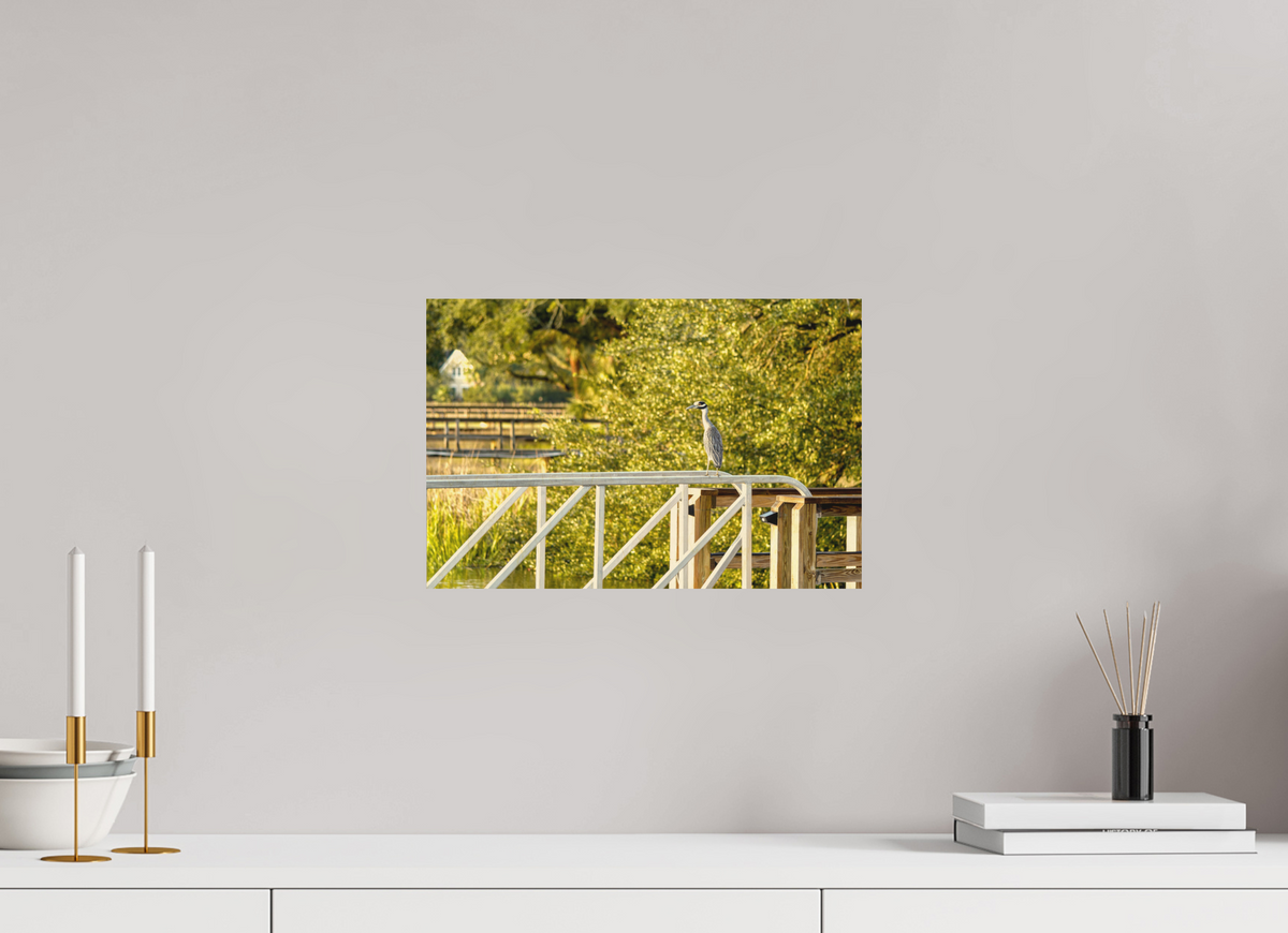 15 x 10″, Wood Prints The Sunlit Surveyor