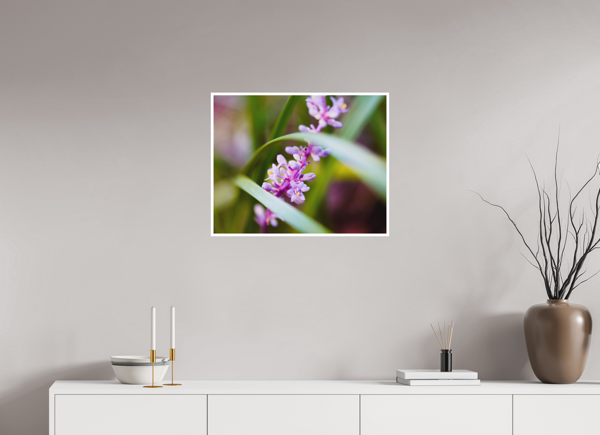 25 x 20″, Aluminum Border Prints The Lilyturf Spire