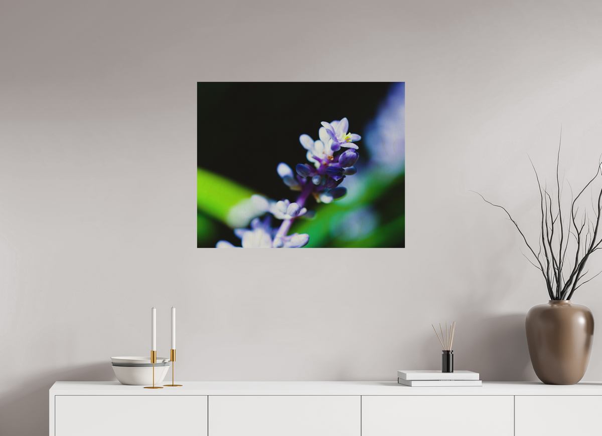 30 x 24″, Wood Prints The Midnight Lilyturf