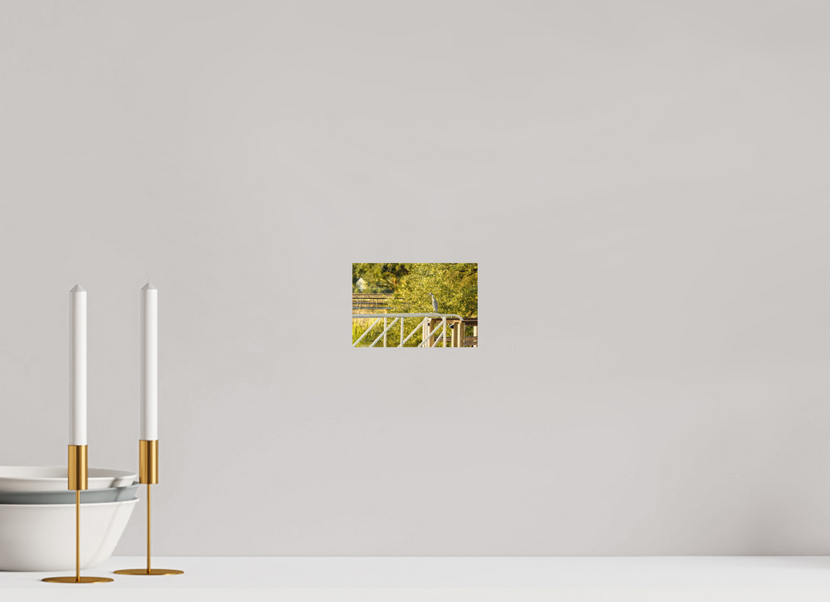 6 x 4″, Wood Prints The Sunlit Surveyor