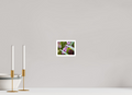 5 x 4″, Aluminum Border Prints The Lilyturf Spire
