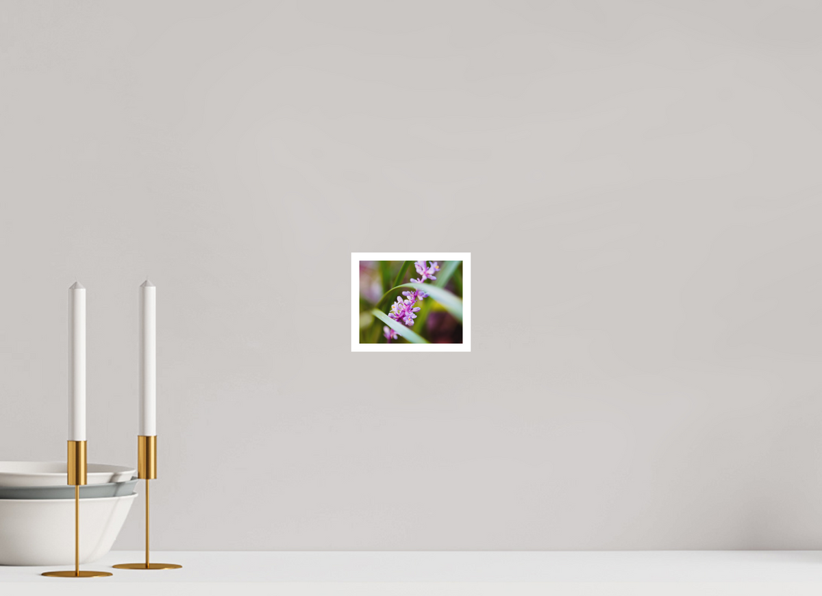 5 x 4″, Aluminum Border Prints The Lilyturf Spire