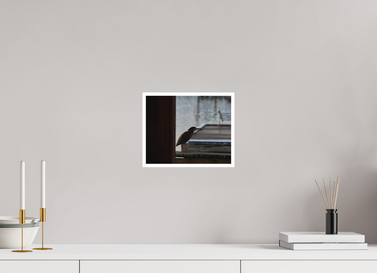 10 x 8″, Forex Border Prints The Dockside Heron