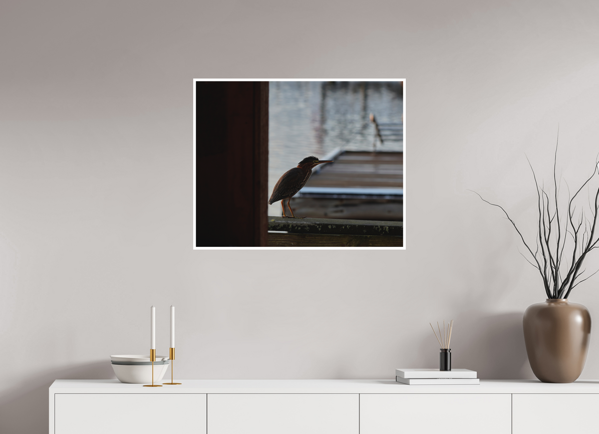 30 x 24″, Aluminum Border Prints The Dockside Heron