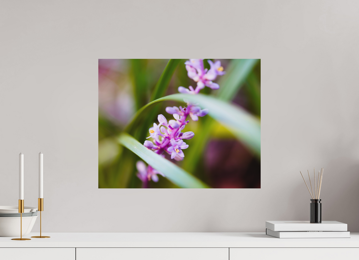 20 x 16″, Forex Prints The Lilyturf Spire