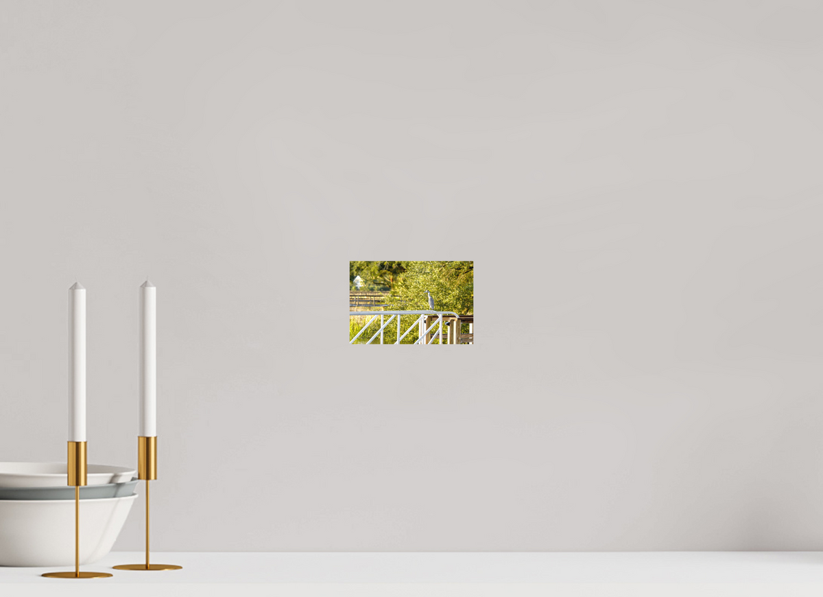 6 x 4″, Forex Prints The Sunlit Surveyor