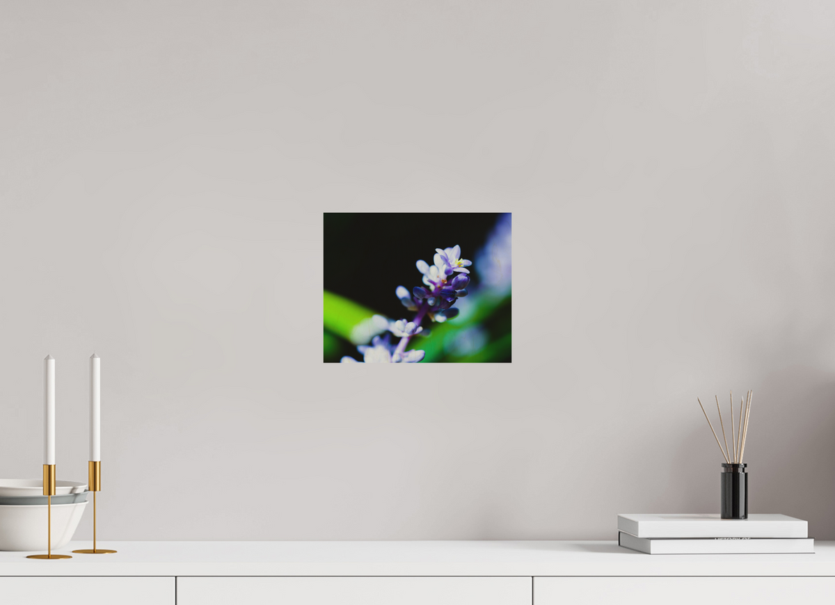 10 x 8″, Wood Prints The Midnight Lilyturf