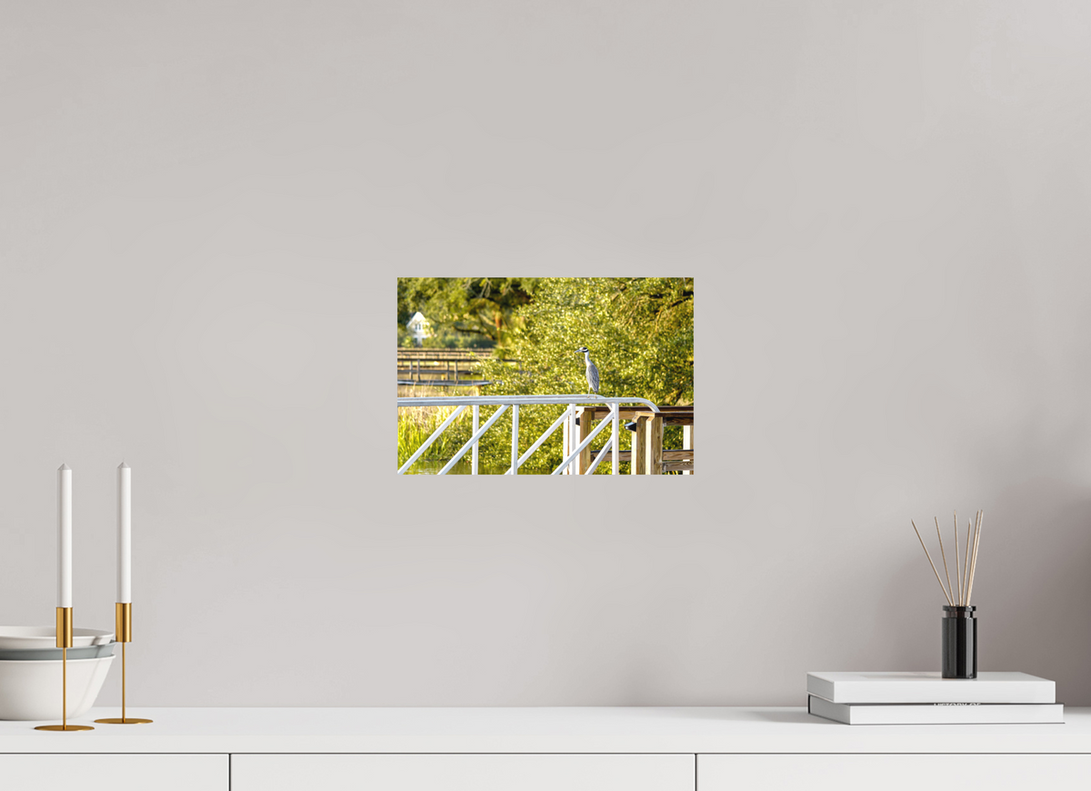 12 x 8″, Aluminum Prints The Sunlit Surveyor