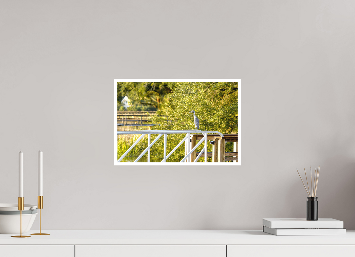 15 x 10″, Forex Border Prints The Sunlit Surveyor