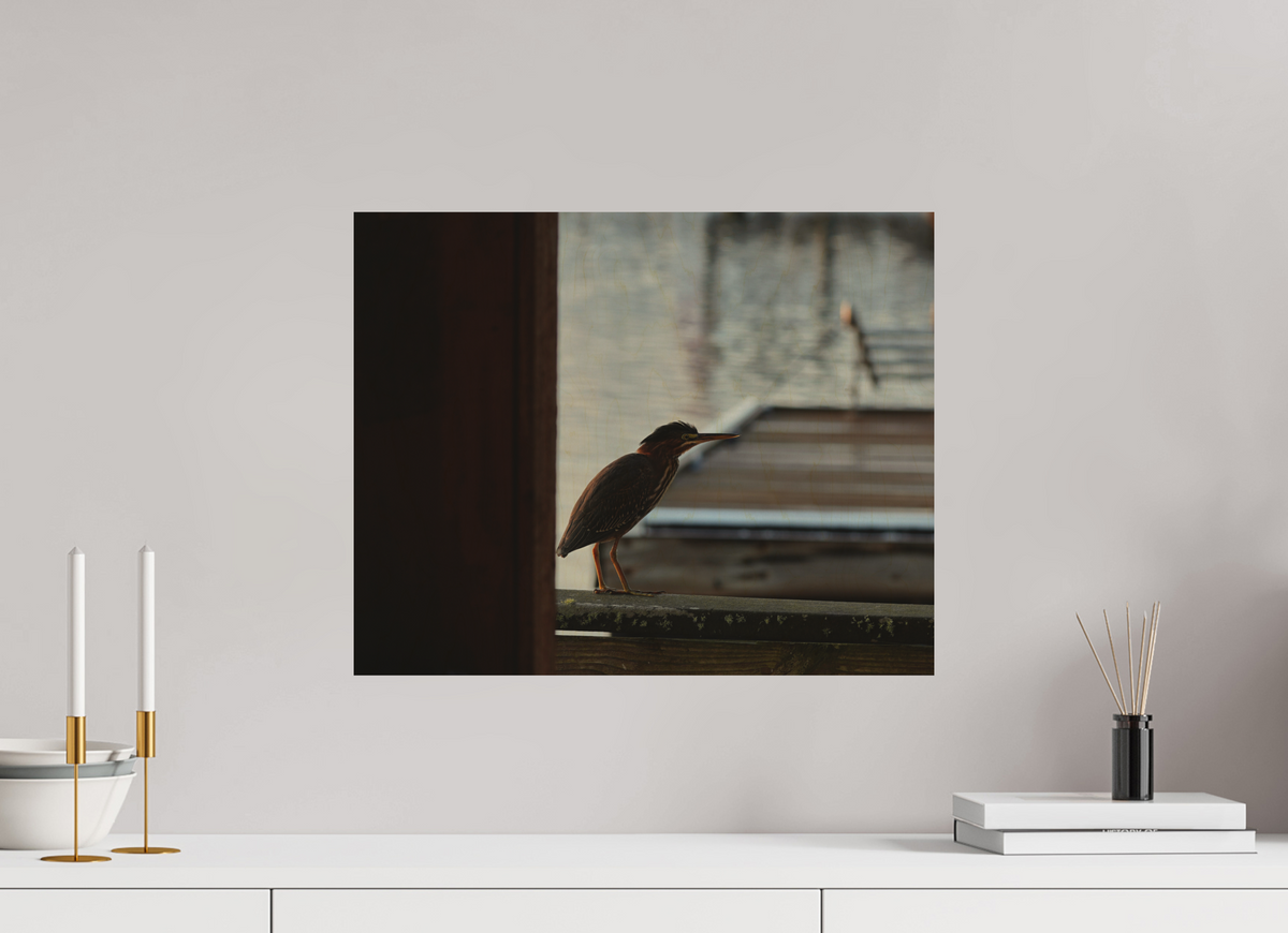20 x 16″, Wood Prints The Dockside Heron