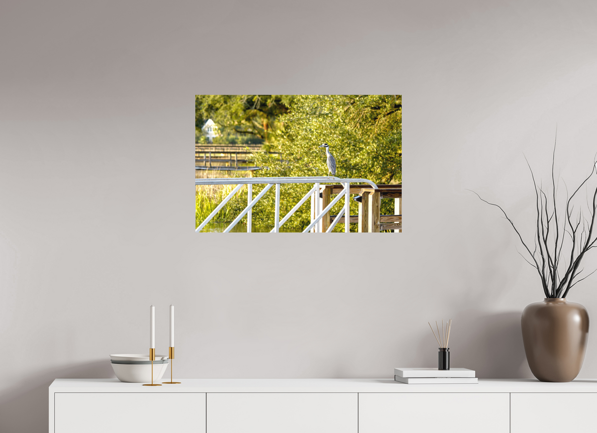 30 x 20″, Aluminum Prints The Sunlit Surveyor