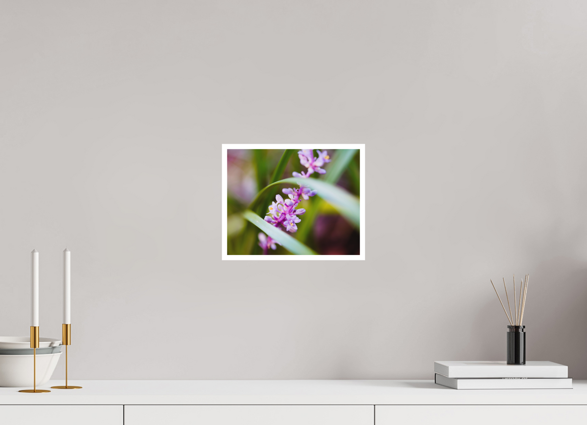 10 x 8″, Forex Border Prints The Lilyturf Spire
