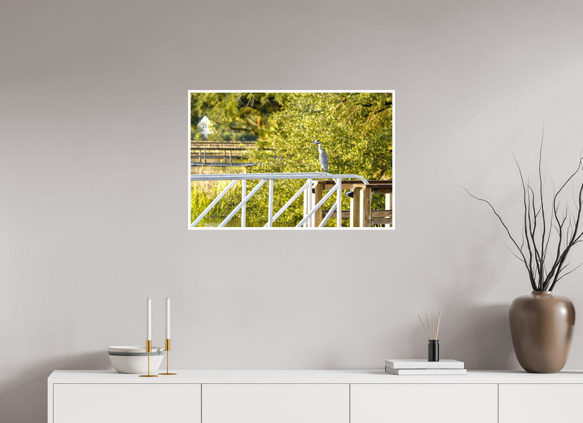30 x 20″, Aluminum Border Prints The Sunlit Surveyor