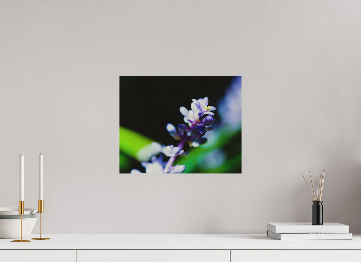 15 x 12″, Wood Prints The Midnight Lilyturf