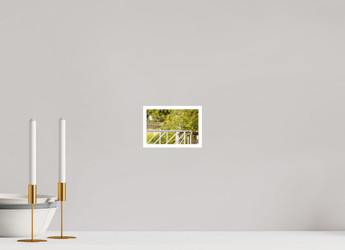 6 x 4″, Aluminum Border Prints The Sunlit Surveyor
