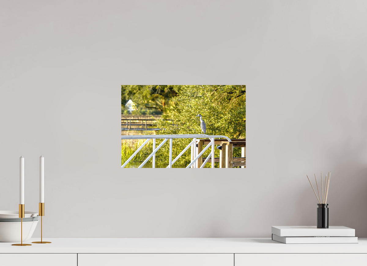15 x 10″, Forex Prints The Sunlit Surveyor