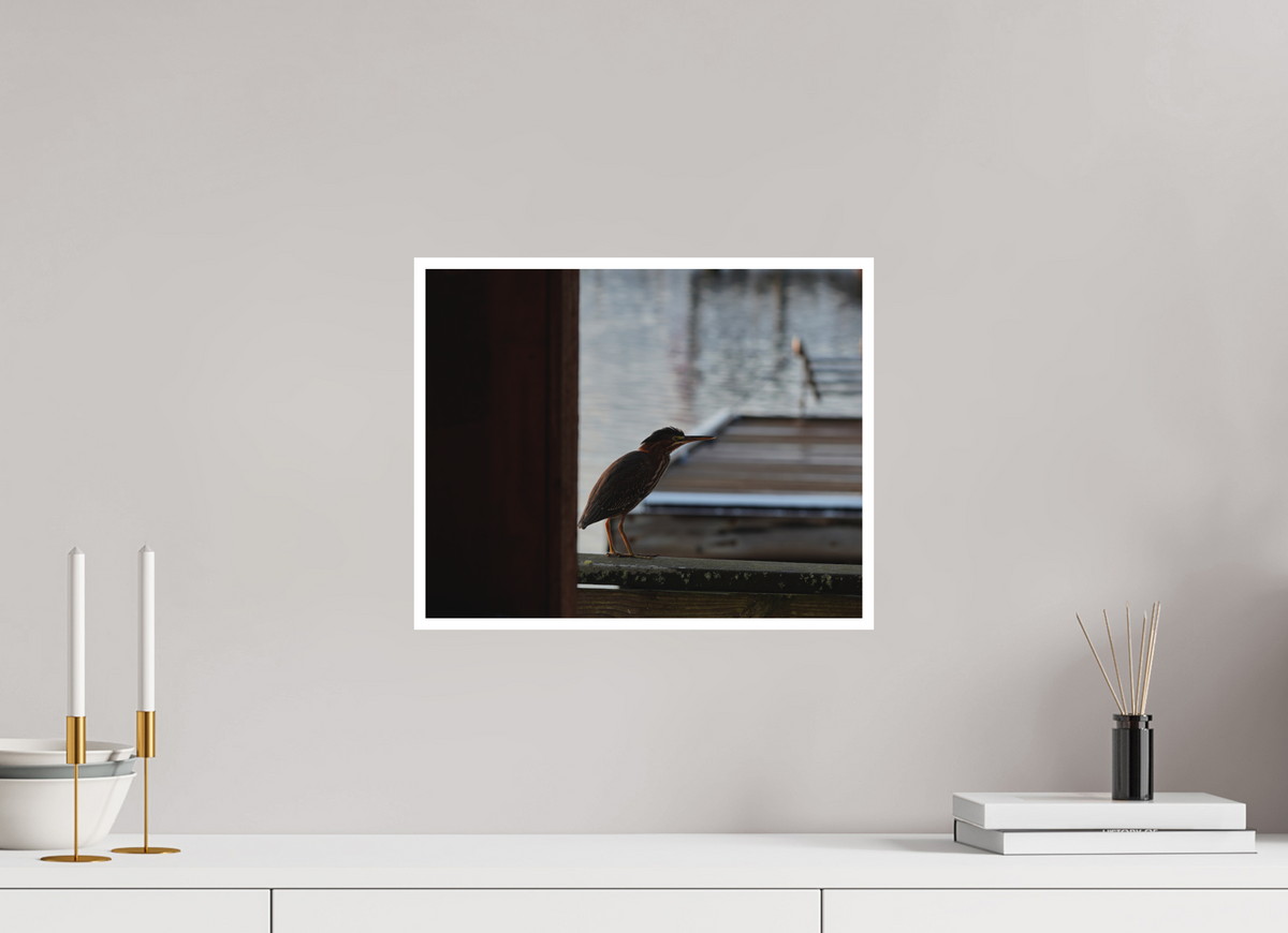 15 x 12″, Forex Border Prints The Dockside Heron