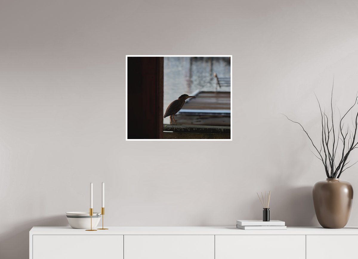 25 x 20″, Forex Border Prints The Dockside Heron