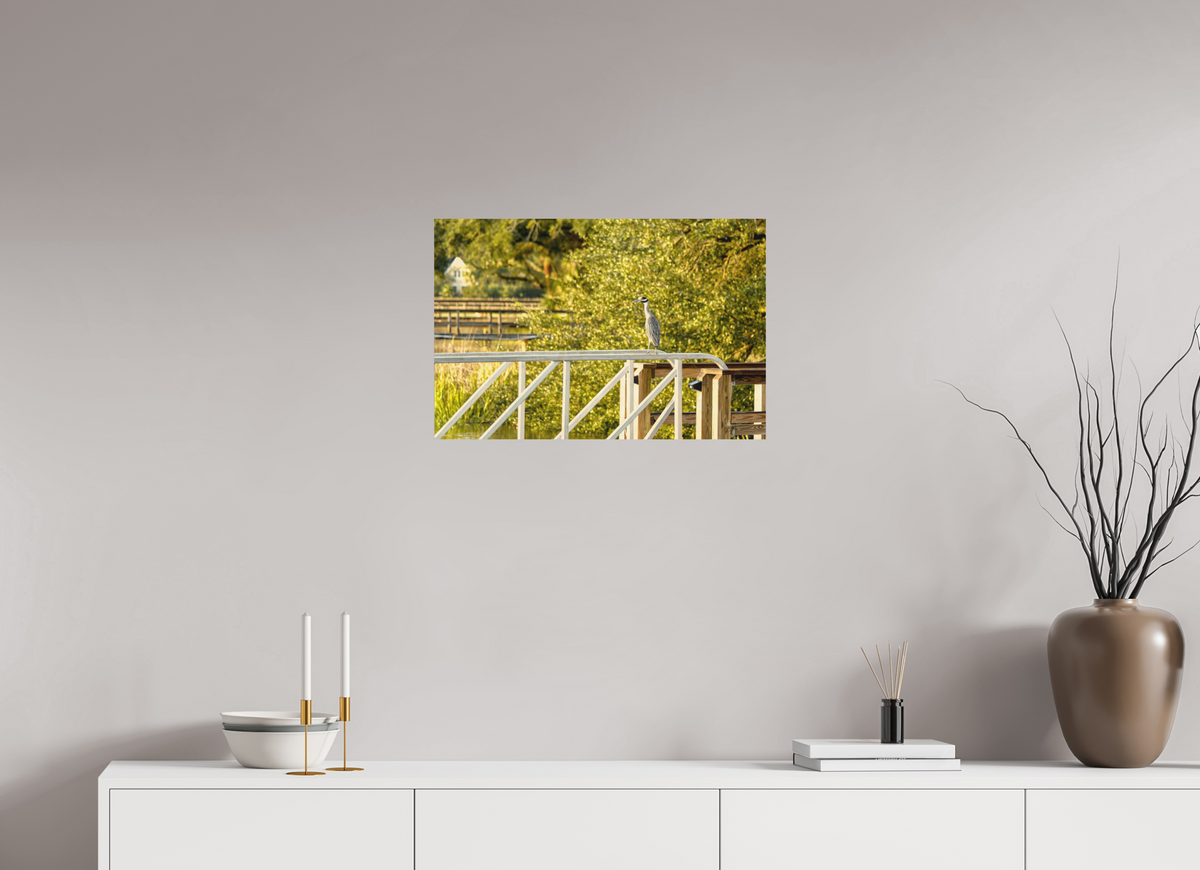 24 x 16″, Wood Prints The Sunlit Surveyor