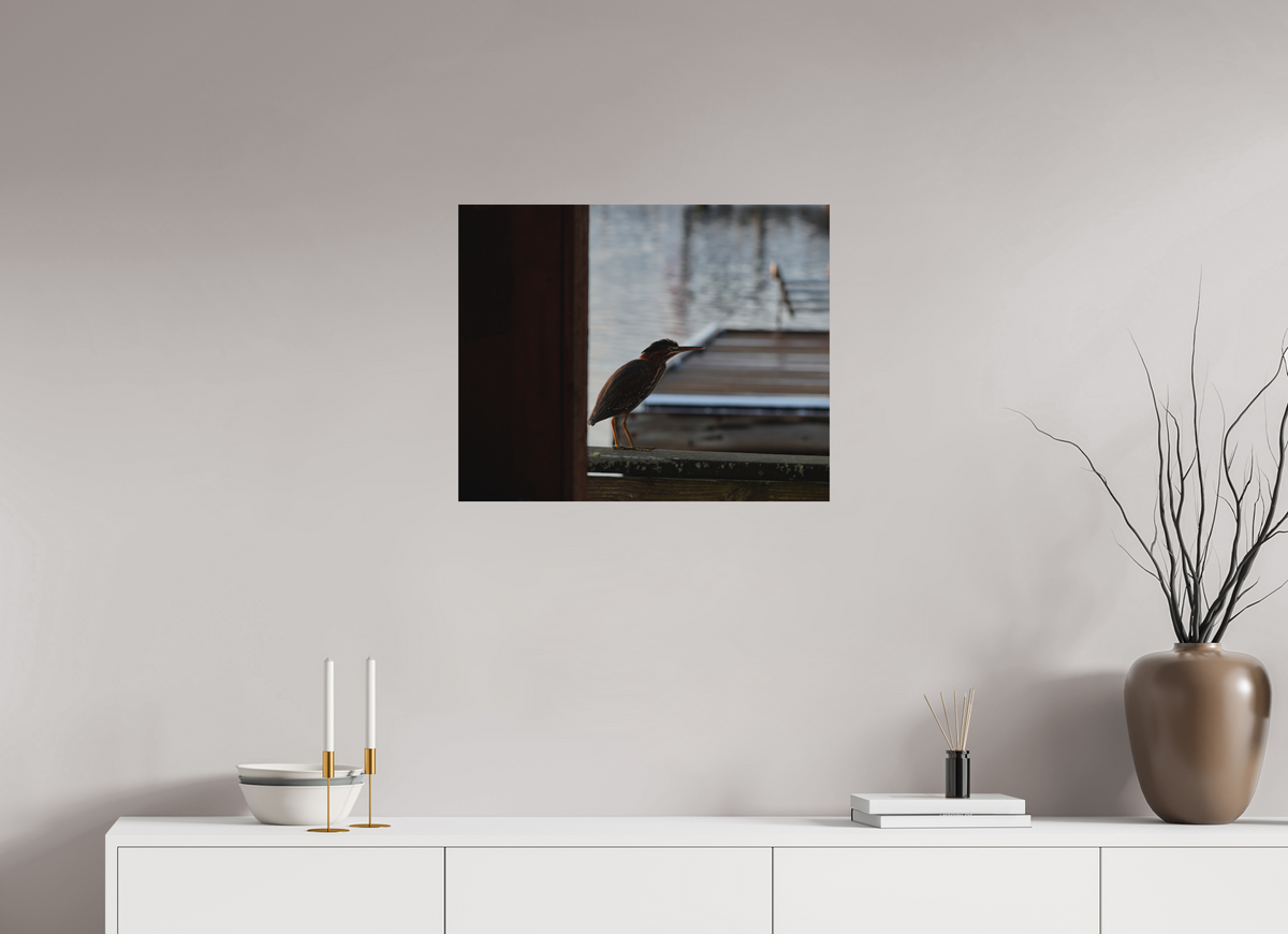 25 x 20″, Forex Prints The Dockside Heron